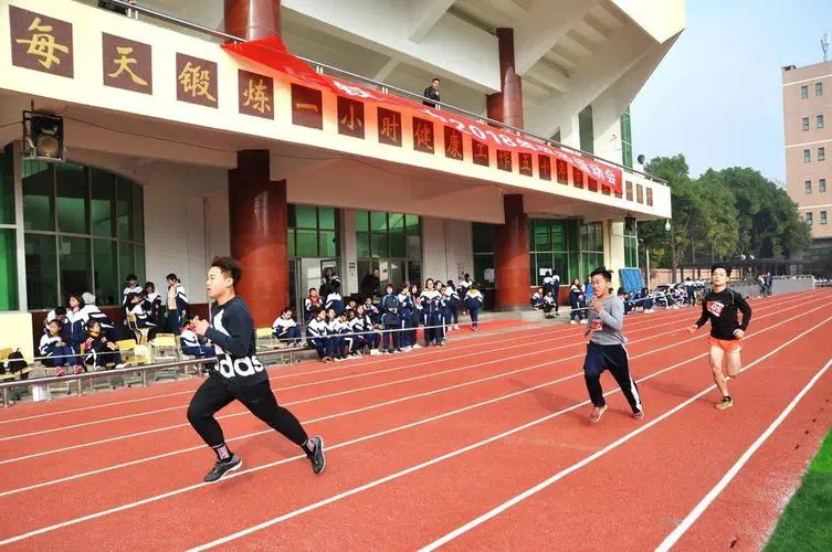 威廉姆斯网球拍价格